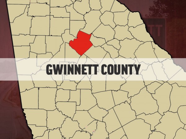 gwinnett county tag office